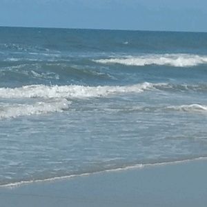 Meet your Posher, Robin